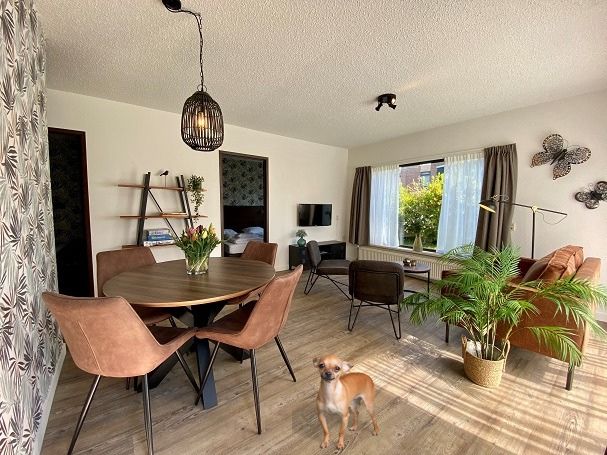 Ferienhaus mit Hund in Holland bei Sollasi