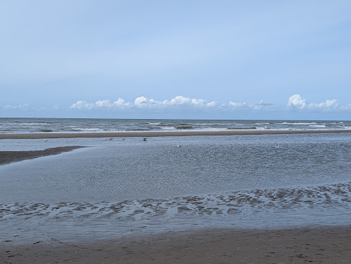 Photo from customer review