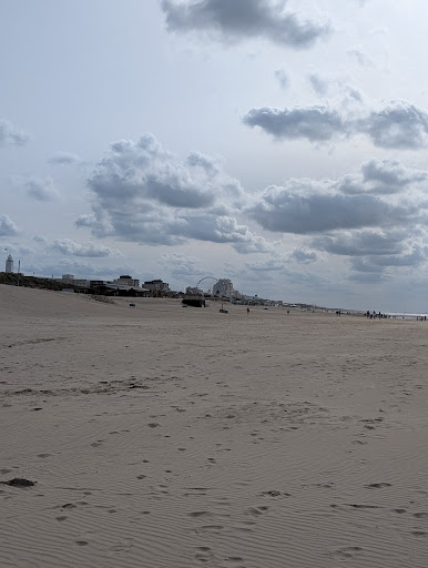 Photo from customer review