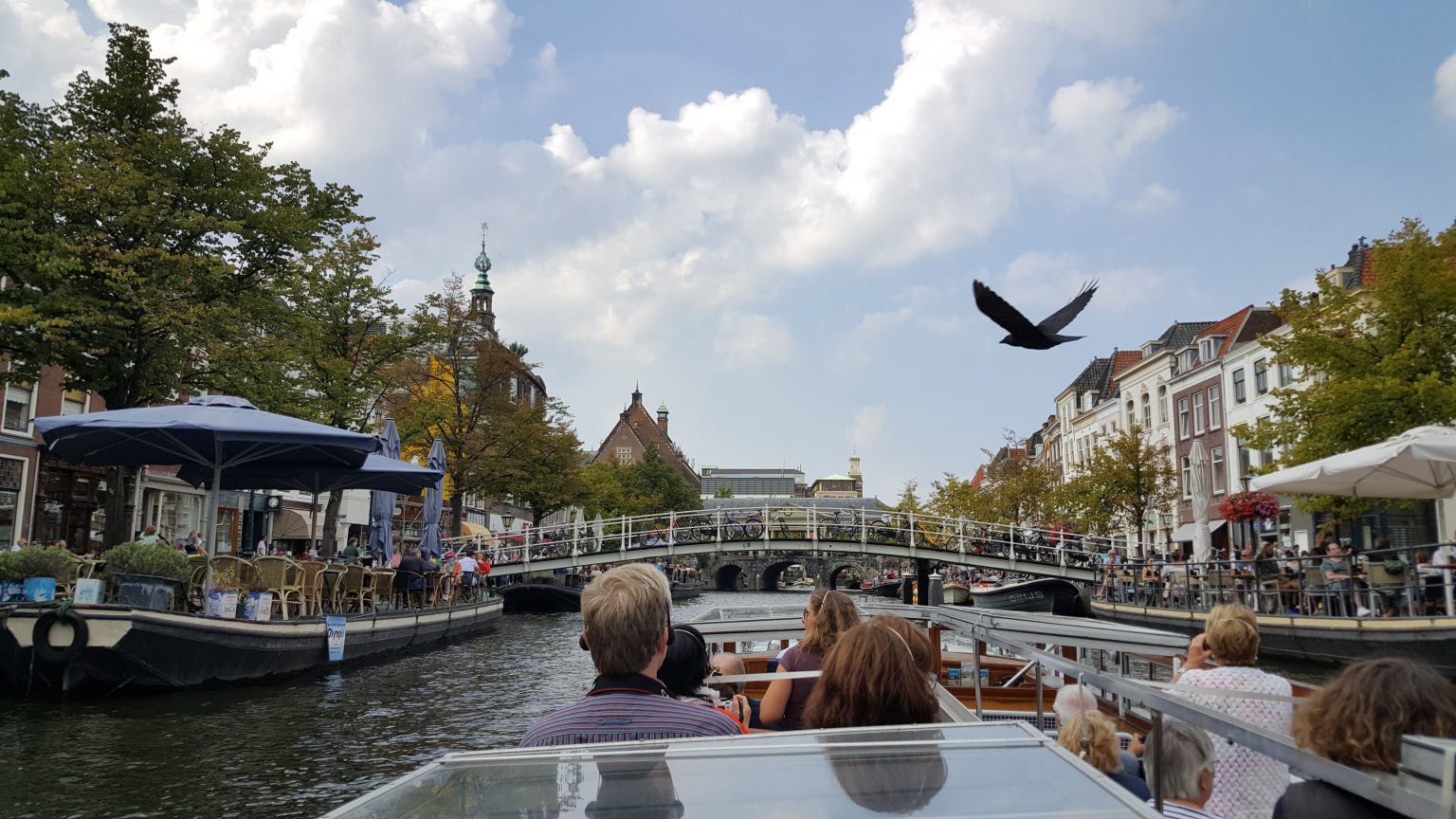 Urlaub In Noordwijk Mit Vielen Aktivitäten An Der Frischen Luft