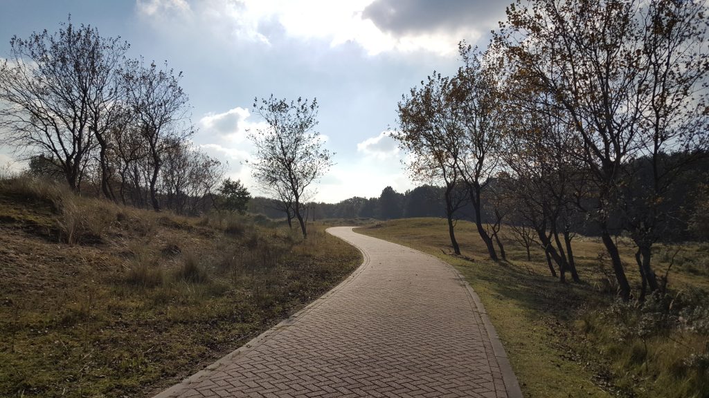 Herrliche Wanderwege in der Umgebung